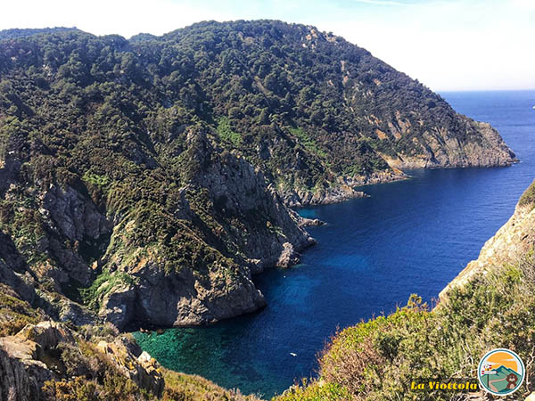 isola-gorgona-vista-mare