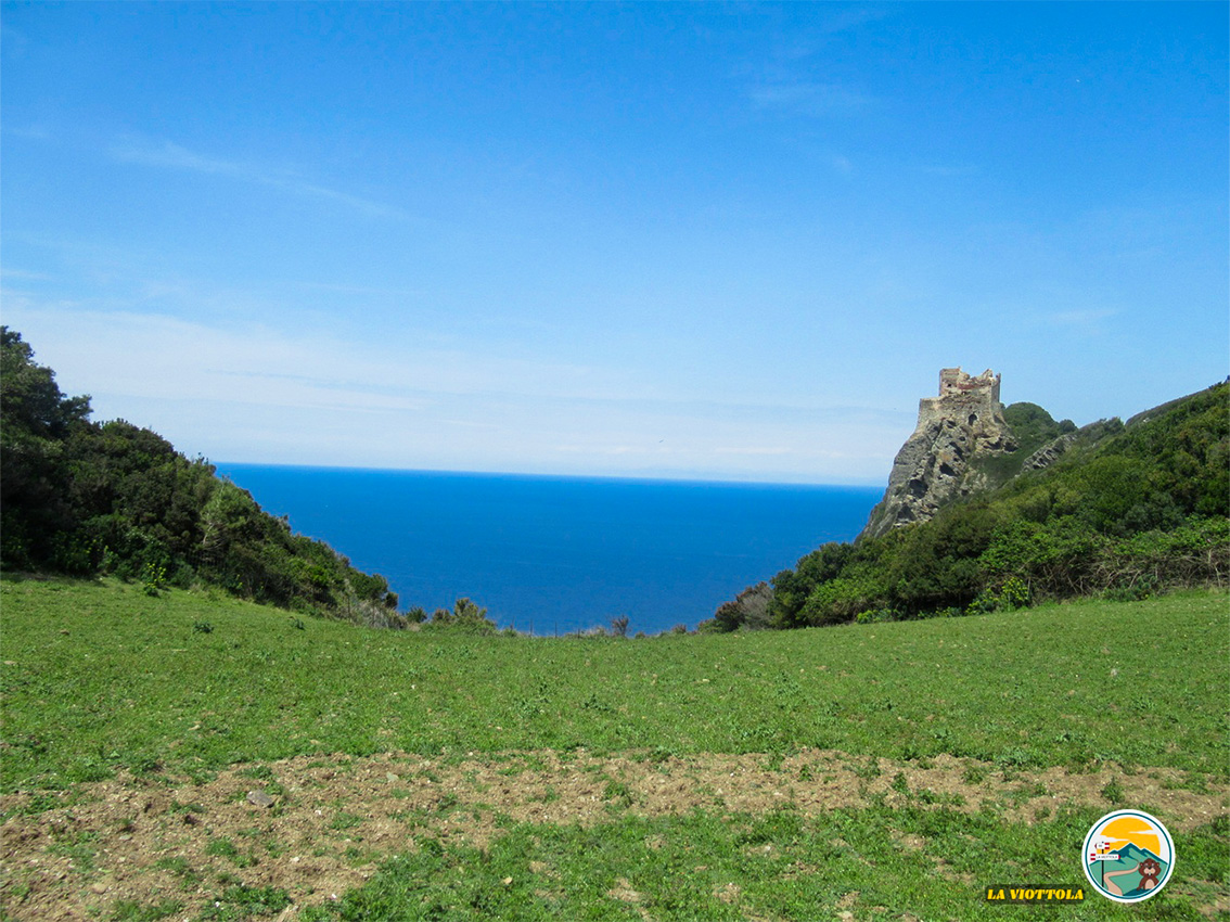 Isola di Gorgona