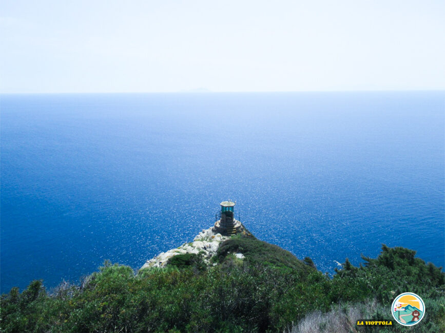 Isola di Gorgona - mare