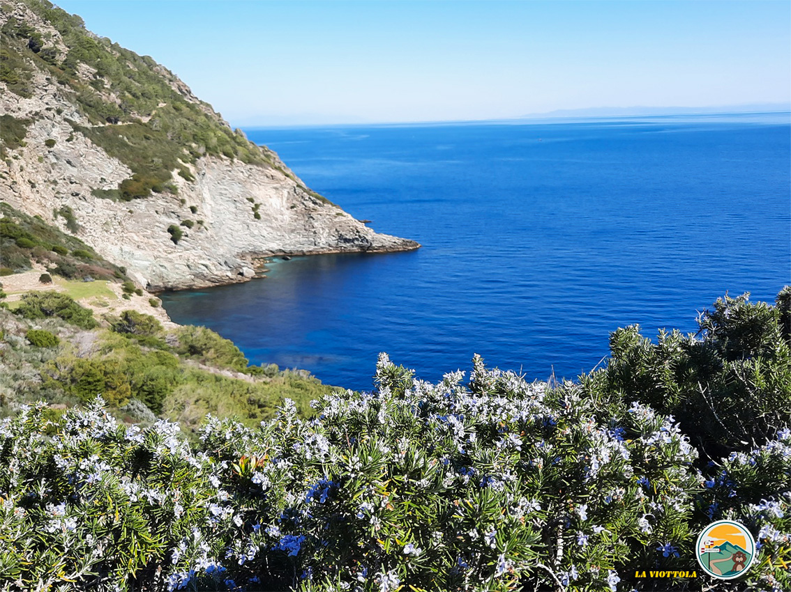 Isola di Gorgona - scogliera